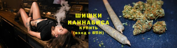 ПСИЛОЦИБИНОВЫЕ ГРИБЫ Балабаново