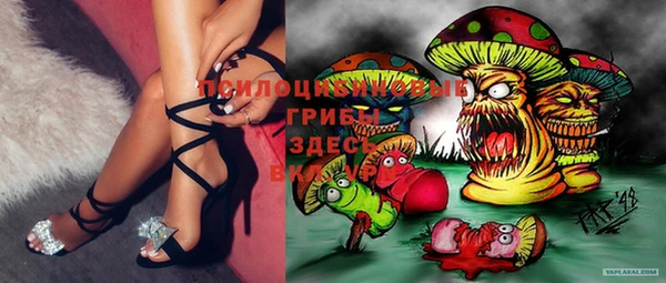 бошки Балахна