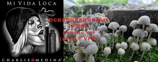 бошки Балахна