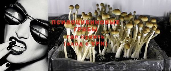 бошки Балахна