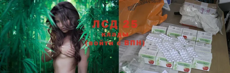 что такое   Болгар  Лсд 25 экстази ecstasy 