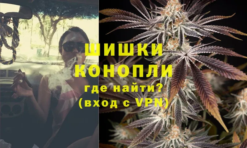 Канабис OG Kush  Болгар 